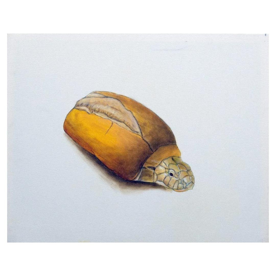 Pão Nosso – Antonio Peticov